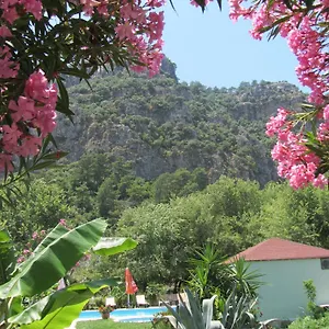 Sirius Dalyan